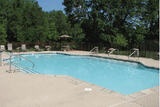 Chestnut Ridge