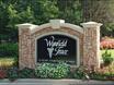 Wynfield Trace