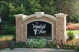 Wynfield Trace