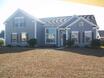 1400 kinglet