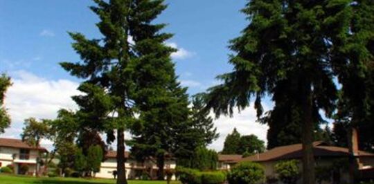 Gateway Village Apartments Springfield Oregon Gateway Village Apartments Springfield Oregon