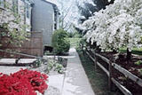 Pennswood Apartments & Townhomes