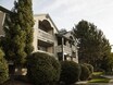 Edgewater Apartments