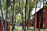 Mission Grace Woods