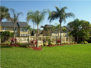 Town Place Apartments | Clearwater, Florida, 33765  Garden Style, MyNewPlace.com