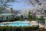 Alara Highland Park