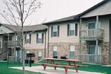Raintree