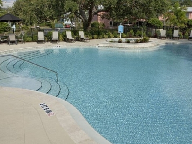 Pet Friendly for Rent in Clearwater
