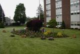 Brook Apartments - 62+/Disabled Living