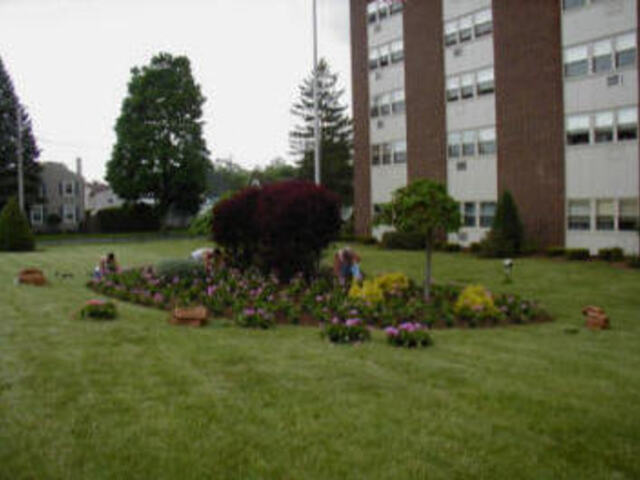 Brook Apartments - 62 /Disabled Living