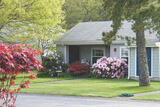 Pine Oaks Village III