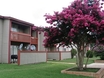 Wingood Manor