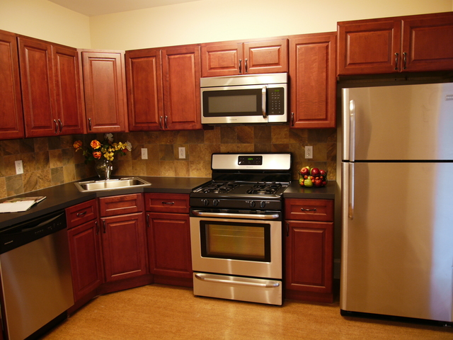 Pet Friendly for Rent in Philadelphia