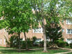Colonial Village
