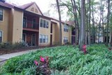 Springs Colony