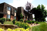 Treetop Lodge