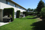 Alki Court
