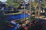 Walden of Westchase