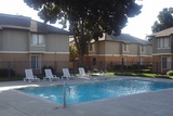 Pinewood Place