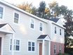 Berkshires at Harpers Mill
