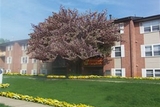 Cedar Gardens