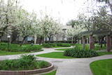 Indian Hill Villas