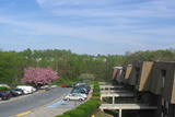 The Bluffs Apartments