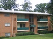 Laurel Pines