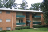 Laurel Pines