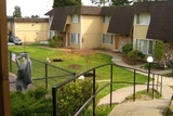Park Ballinger Apartments