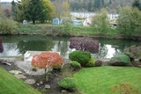 Rivergreen Apartments