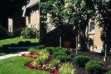 Apartments At Pine Brook