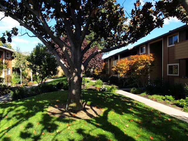 Apartment for Rent in Cupertino