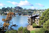 The Cove Apartments