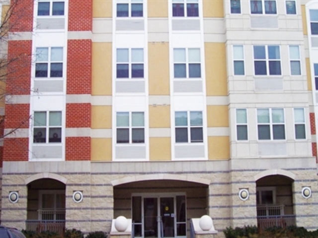 Pet Friendly for Rent in Baltimore