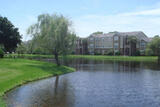 Eden Pointe