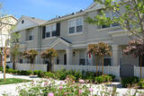 Cape May At Harveston