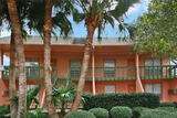 Forest Isle Apartments