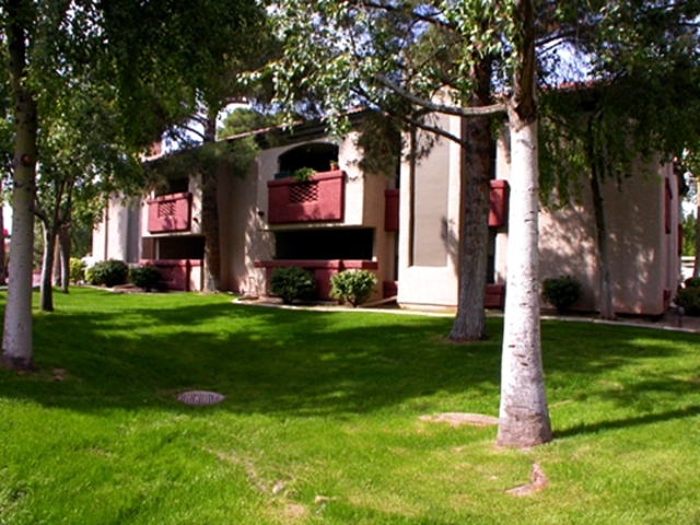 Pet Friendly for Rent in Phoenix