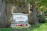 Palm Royale