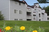 Wellington Place
