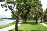Vista Lago at The Hammocks