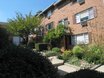 Rae Realty Apartments