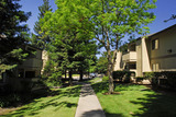 Antelope Woods Apartments