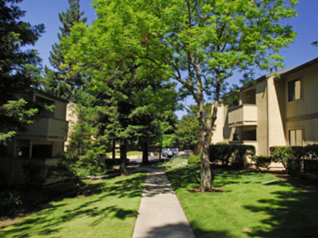 Apartment for Rent in Citrus Heights
