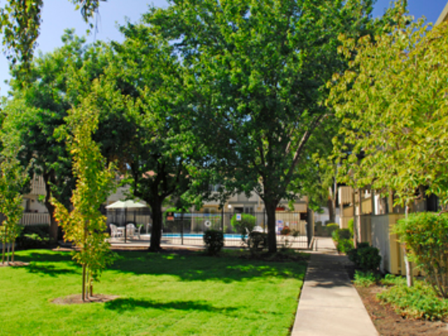 Pet Friendly for Rent in Concord