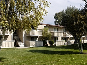 Thornbridge | San Jose, California, 95111   MyNewPlace.com