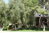 Orange Tree Villa