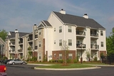 Crowne Polo