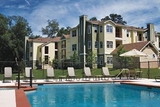 Evergreens At Mahan